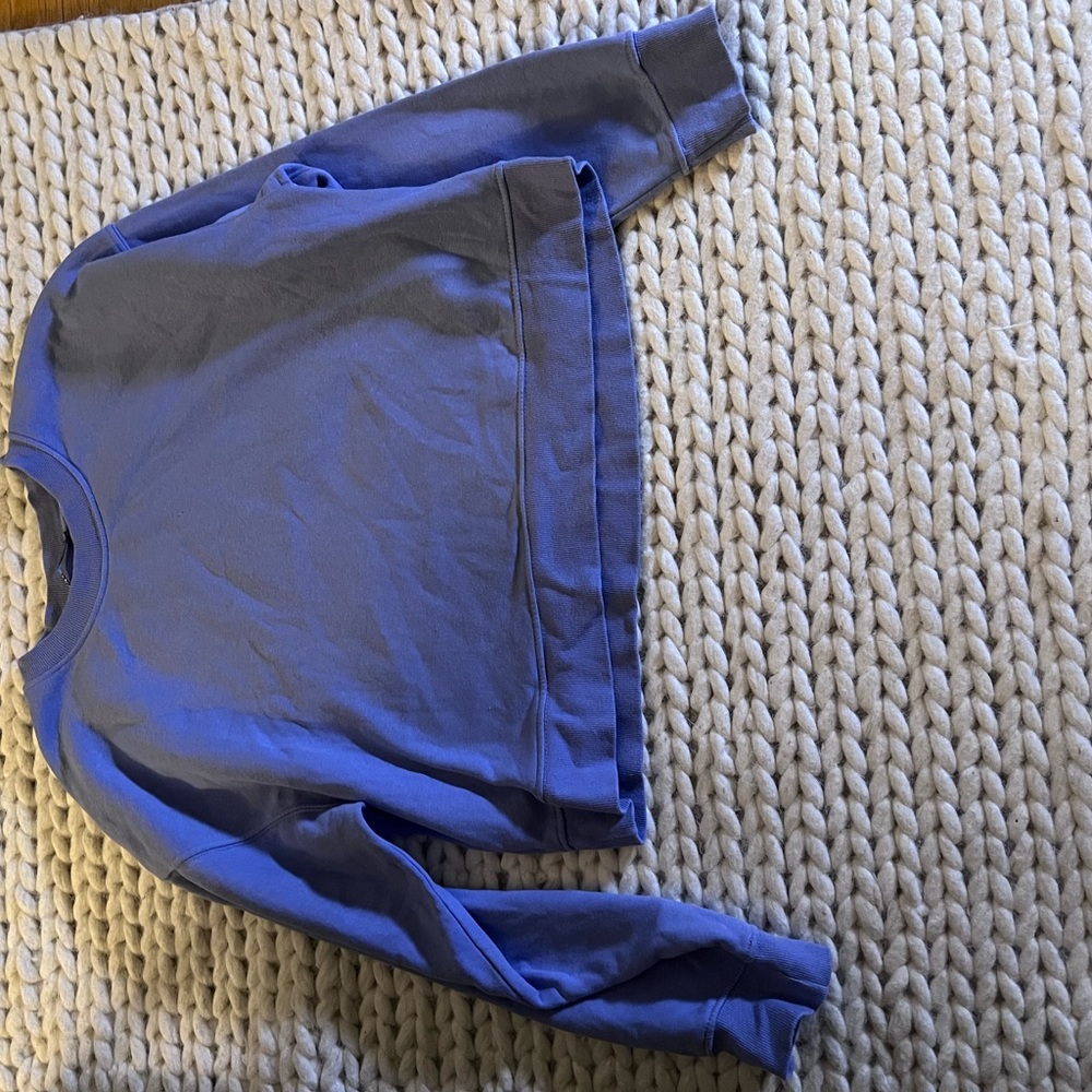 Cropped Zara sweatshirt